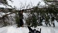 Snowed Out 33